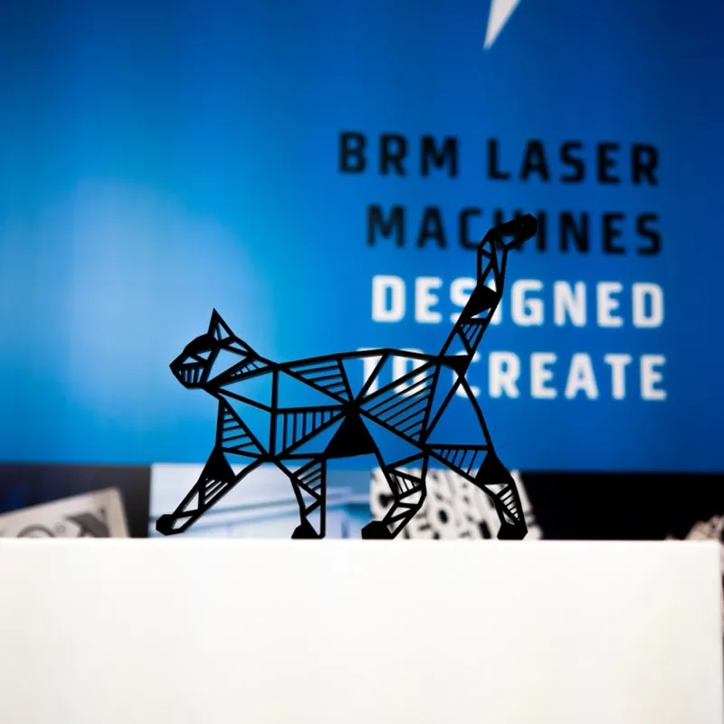 Cat cut-out laser cut from 10 mm acrylic