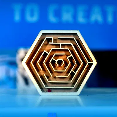 Pocket maze